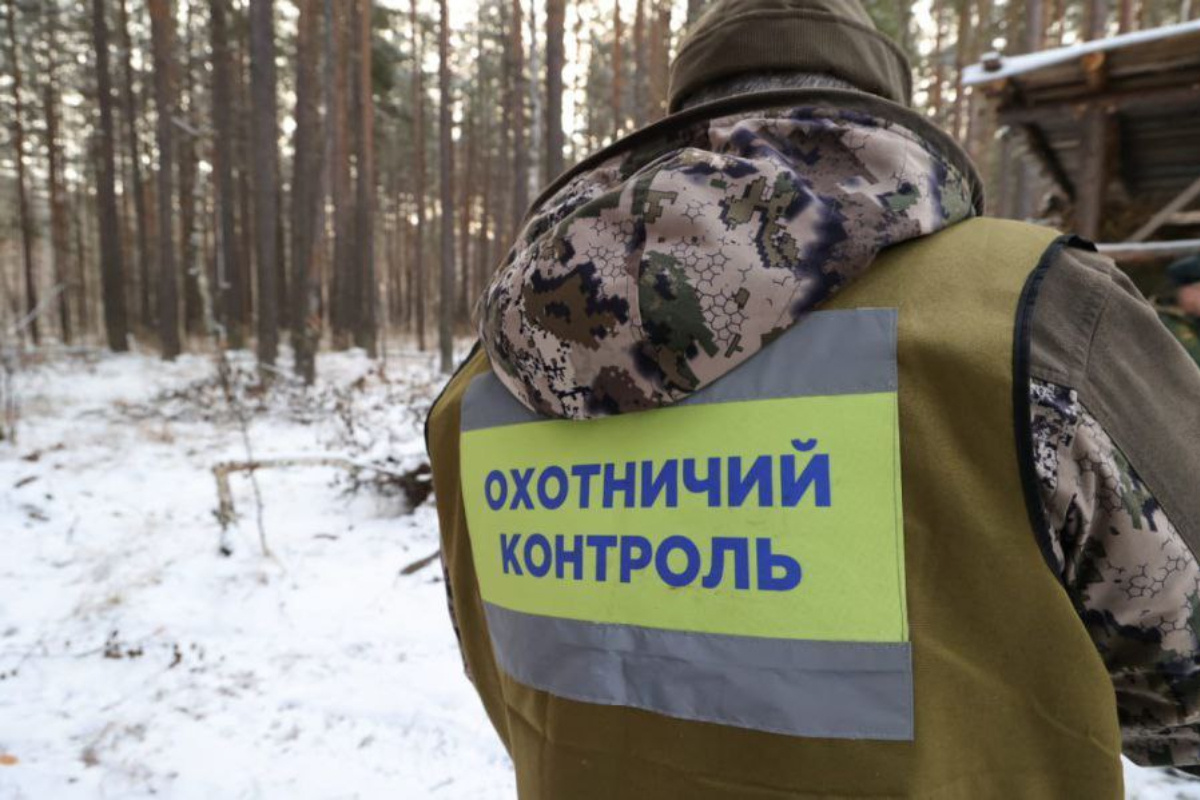    Фото: департамент информполитики Свердловской области