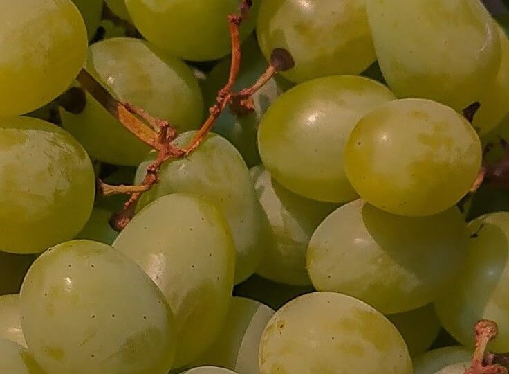 Что нельзя есть на ужин при высоком сахаре: 4 продукта, которые вредят