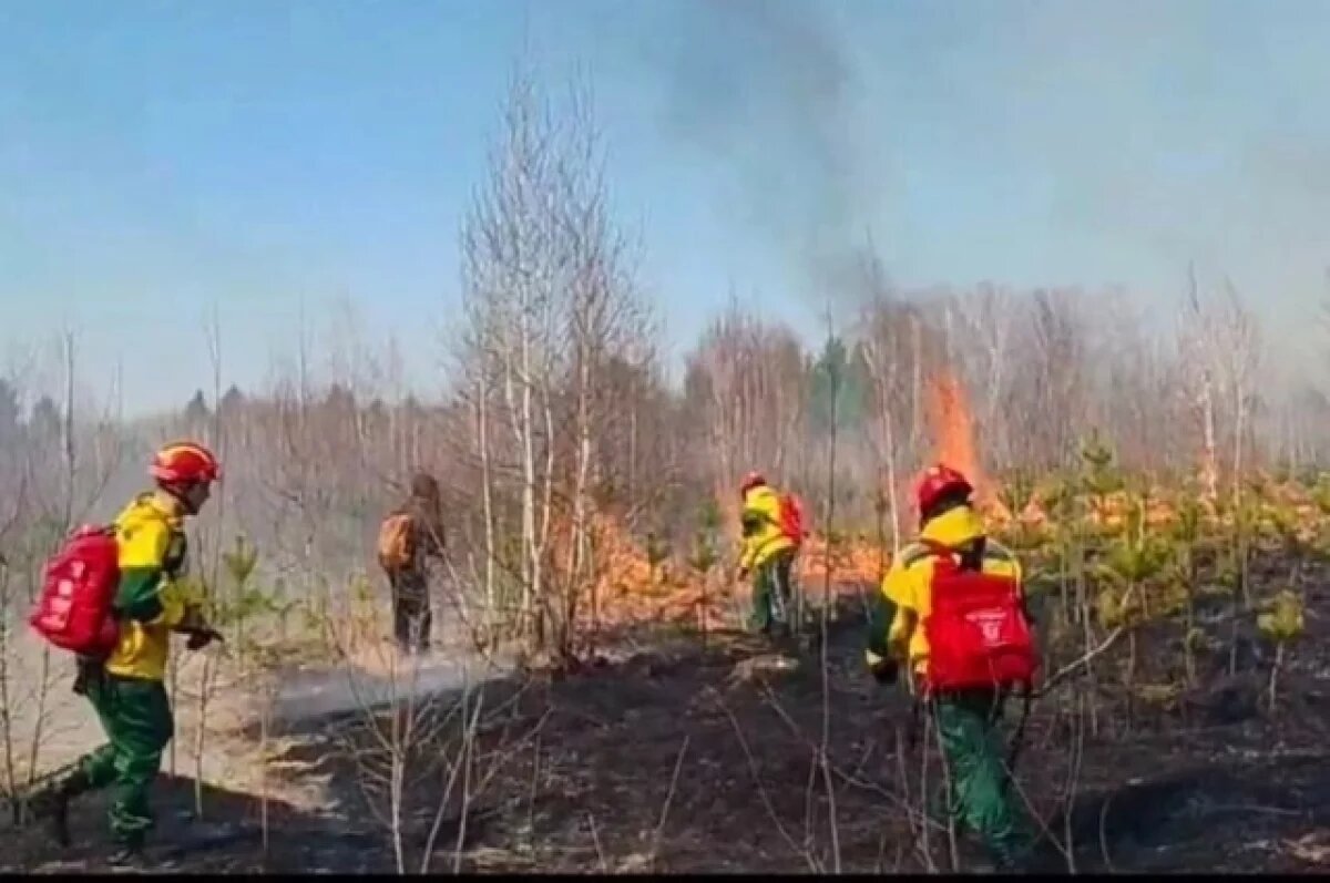    В Омской области в начале мая ликвидировали пять лесных пожаров