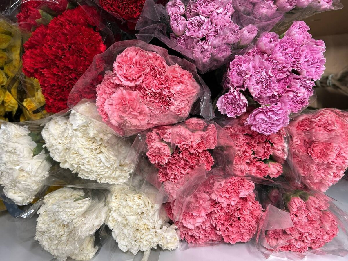 Источник: Зеленыйопт.рф