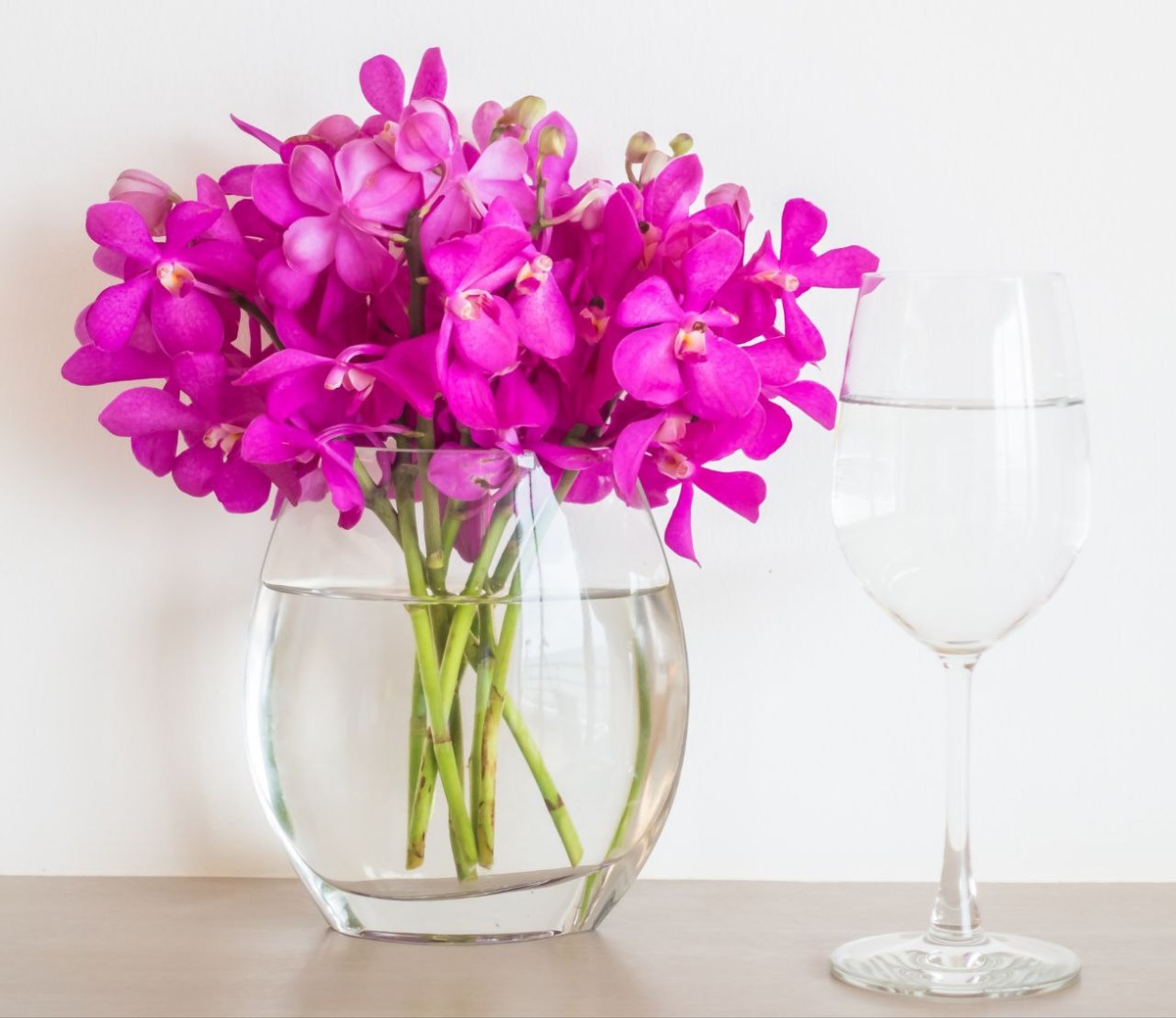 Источник: ru.freepik.com