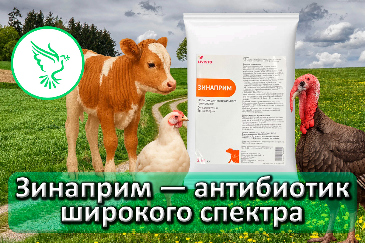 Зинаприм — помощь ветеринарам