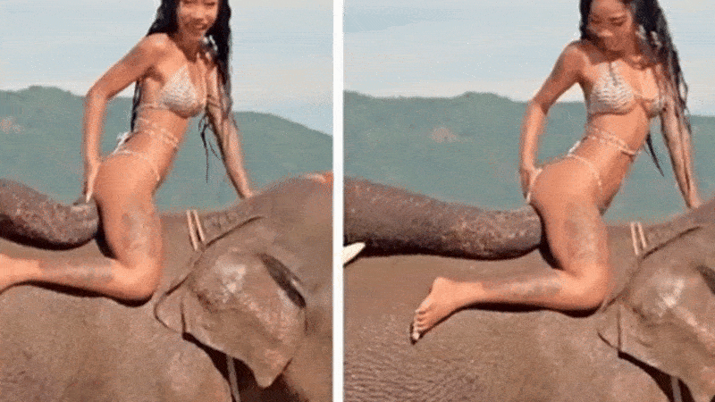 Нравится Формат? Поддержи Канал Лайком и напиши какой эпизод понравился больше всех