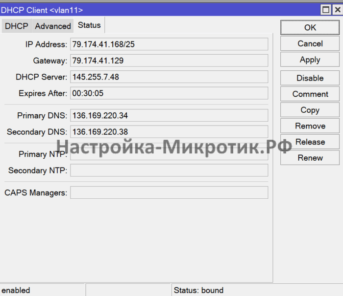 В статусе видим полученный адрес