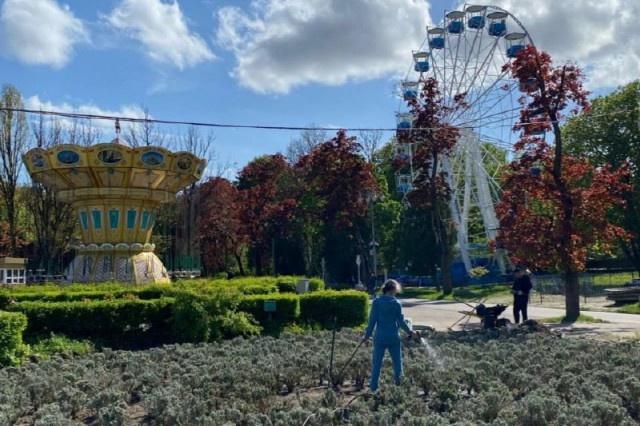   Фото: телеграм-канал «Парки Калининграда»