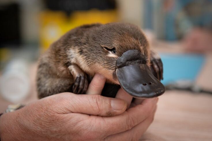 Всем привет.