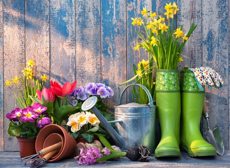 Дача за 4 дня: как привести участок в порядок за короткий приезд