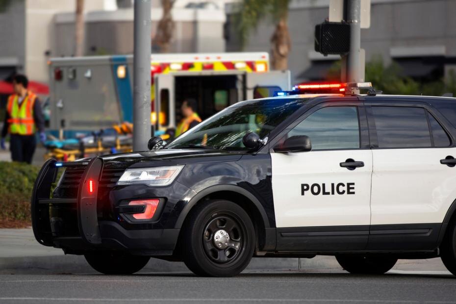    Shutterstock/FOTODOM