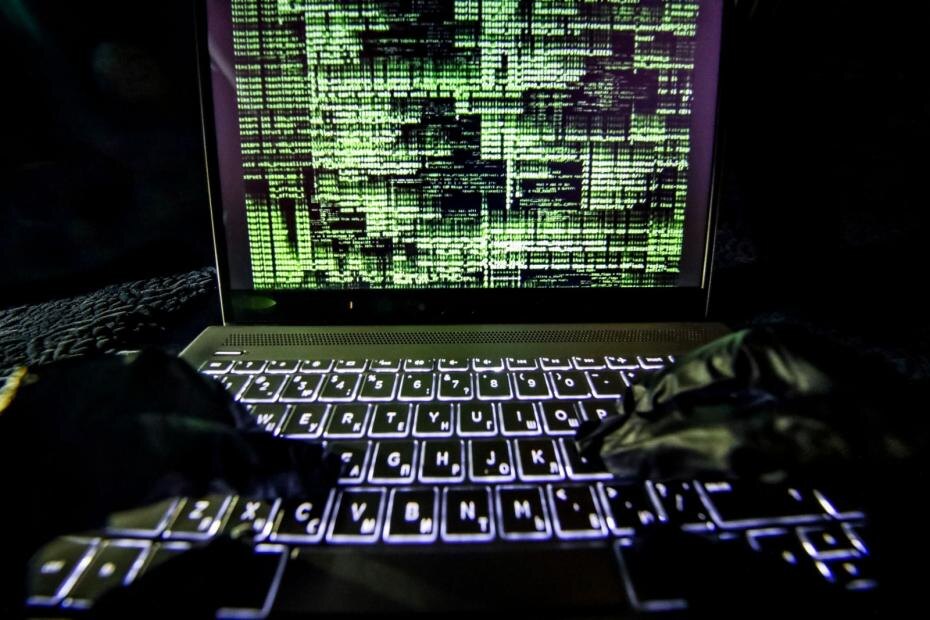    Сергей Лантюхов/NEWS.ru