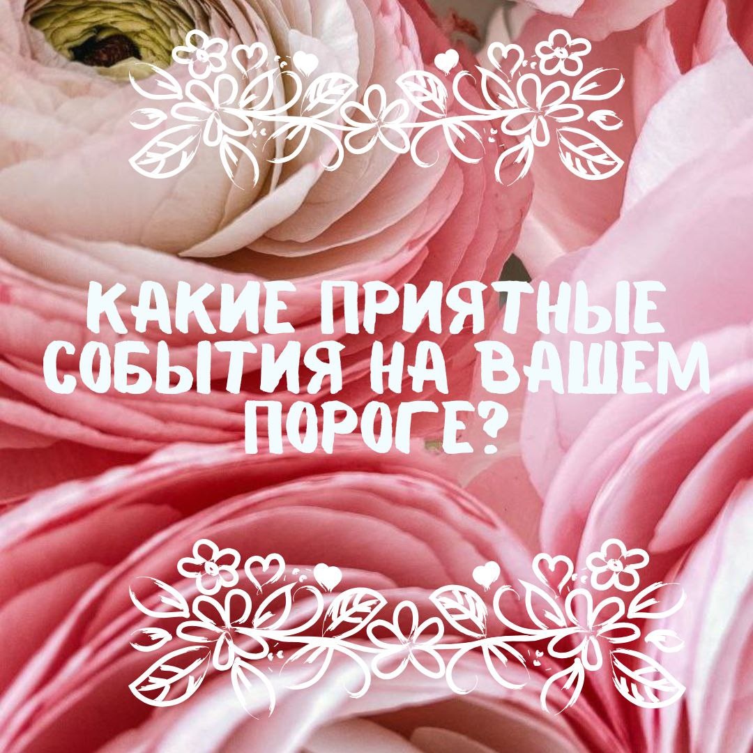 Дизайн автора