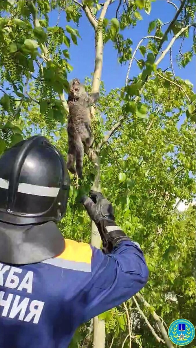    Фото: МБУ "Управление гражданской защиты города Ульяновска"