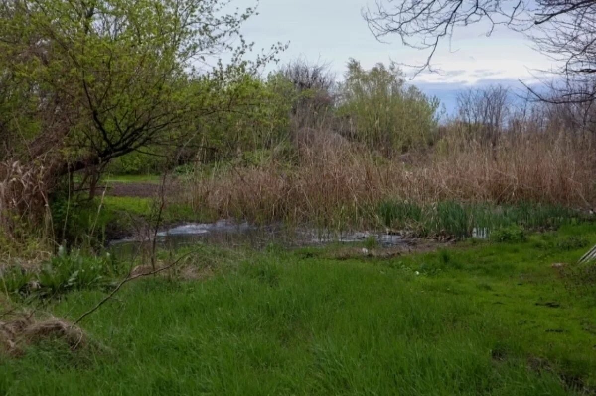    Жители Армавира пожаловались на сброс нечистот в реку