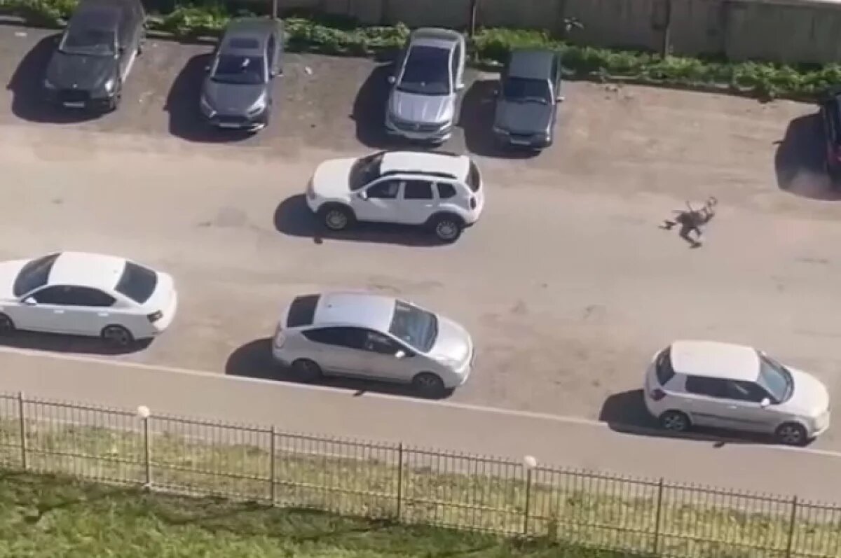    Тащил на авто по асфальту.