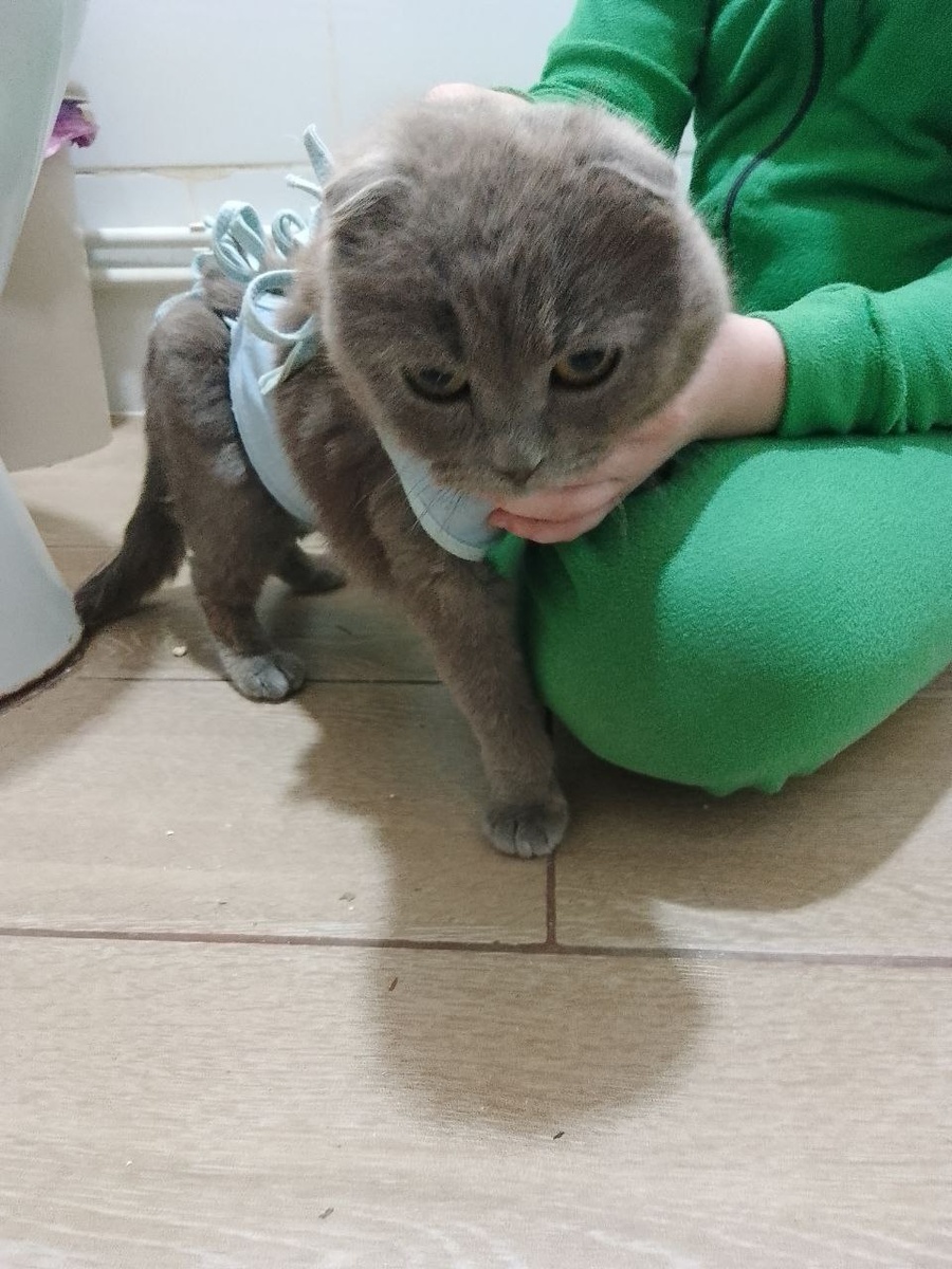 А мы всё терпим и терпим и всё равно людей любим