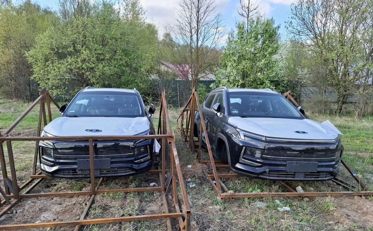 Фото: Avito  📷
