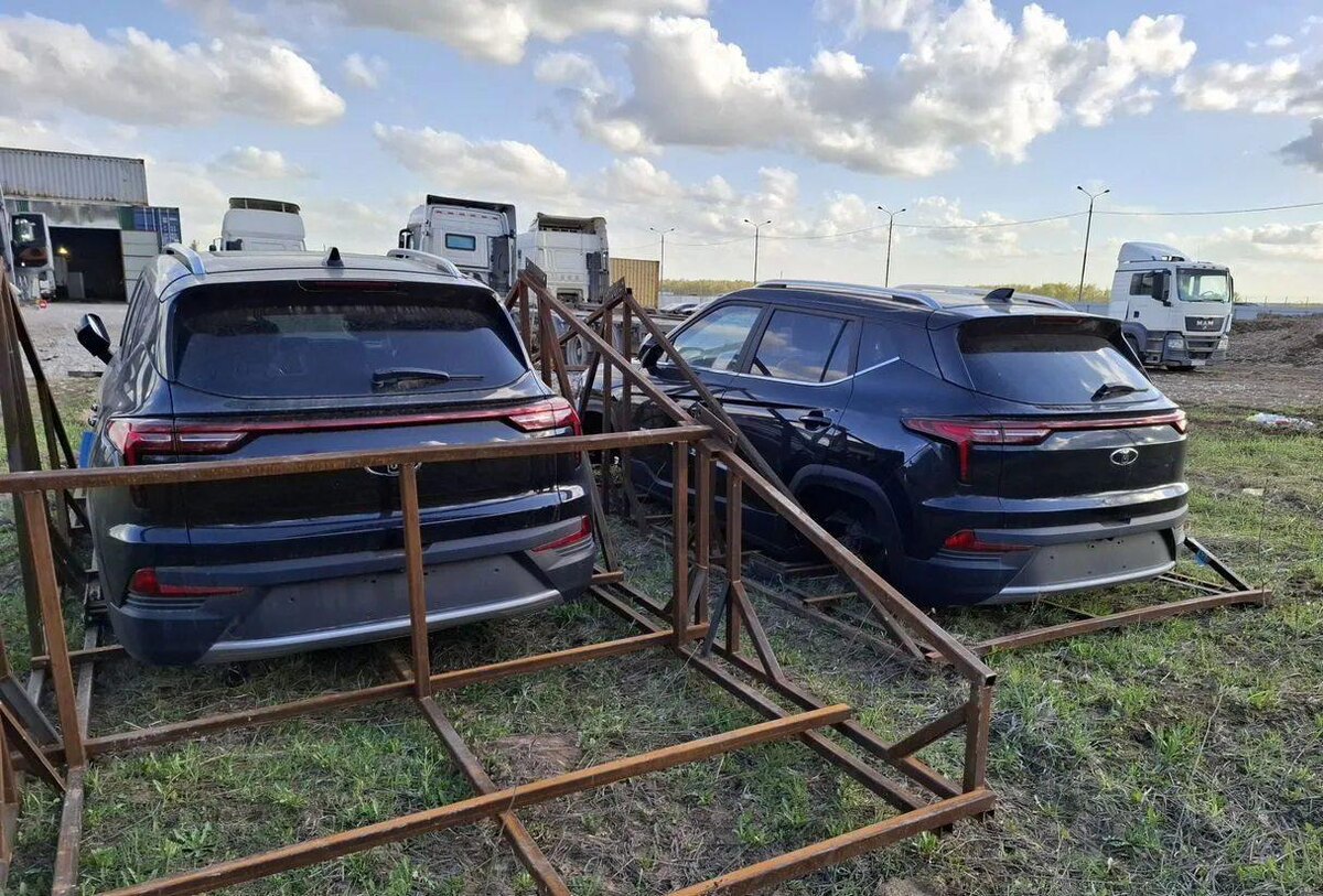 Фото: Avito  📷
