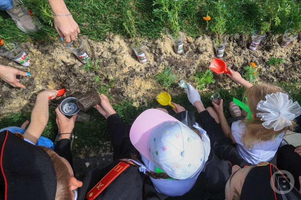    Фото: Дмитрий Рогулин/"Городские вести"