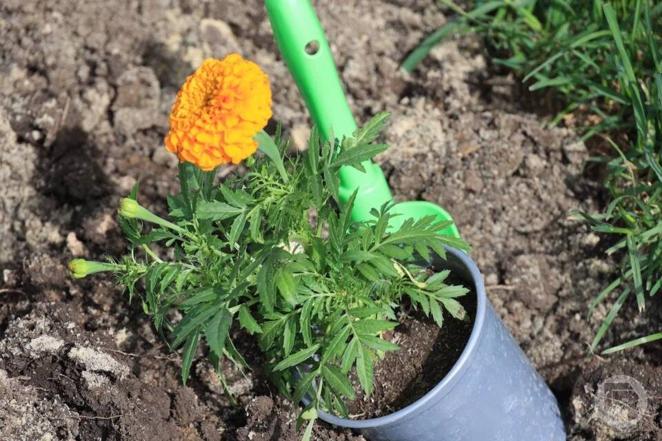    Фото: Дмитрий Рогулин/"Городские вести"