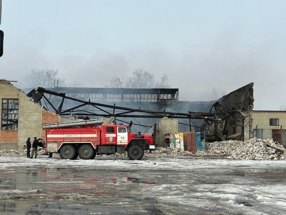    Фото: архив progorod