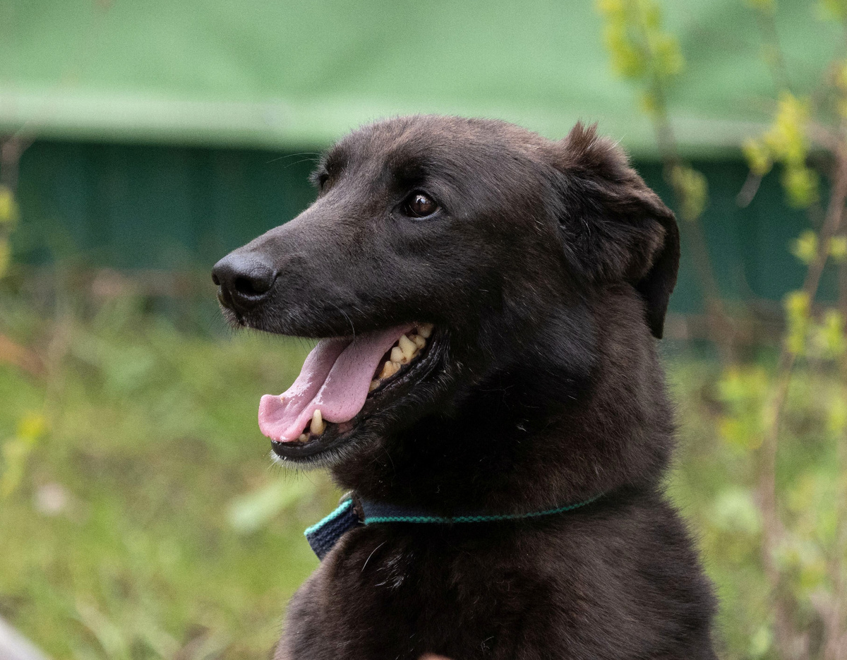 Найк настоящий друг, поддержит во всем.