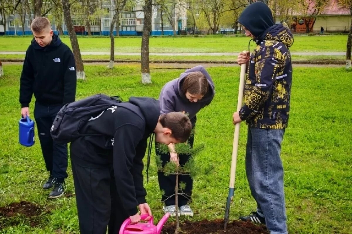    В школах Тверской области проходит акция «Аллея Героев»