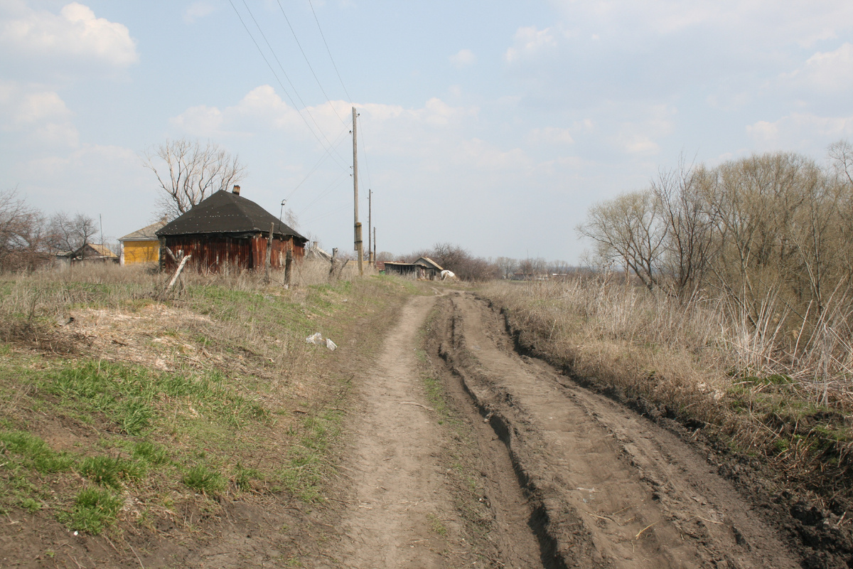 Дорога в мою бывшую деревню  Синие Липяги! 