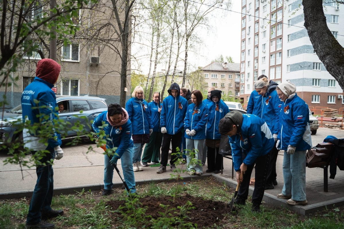    Более 50 заявок на благоустройство дворов нижегородских ветеранов было подано в рамках акции «Палисадник Победы»