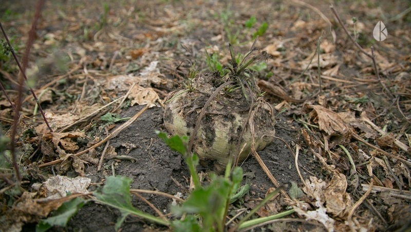      Фото: ИА «Победа26»