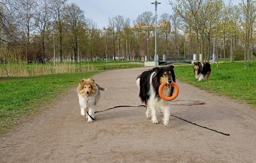 Фото из личного архива