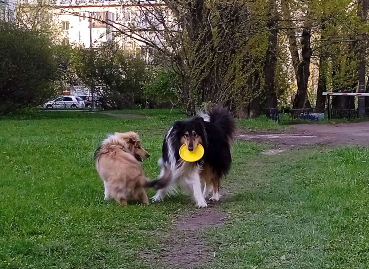 Фото из личного архива