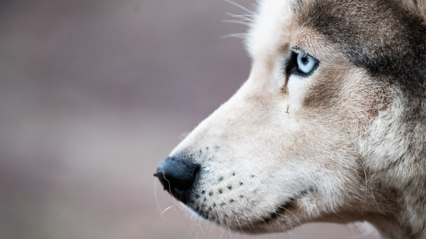    Фото: © РИА Новости/Владимир Астапкович