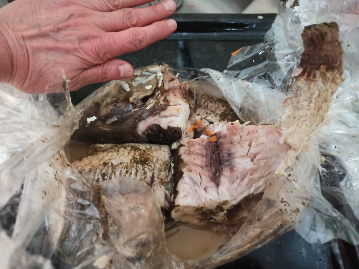 Голова жереха больше моей ладони.