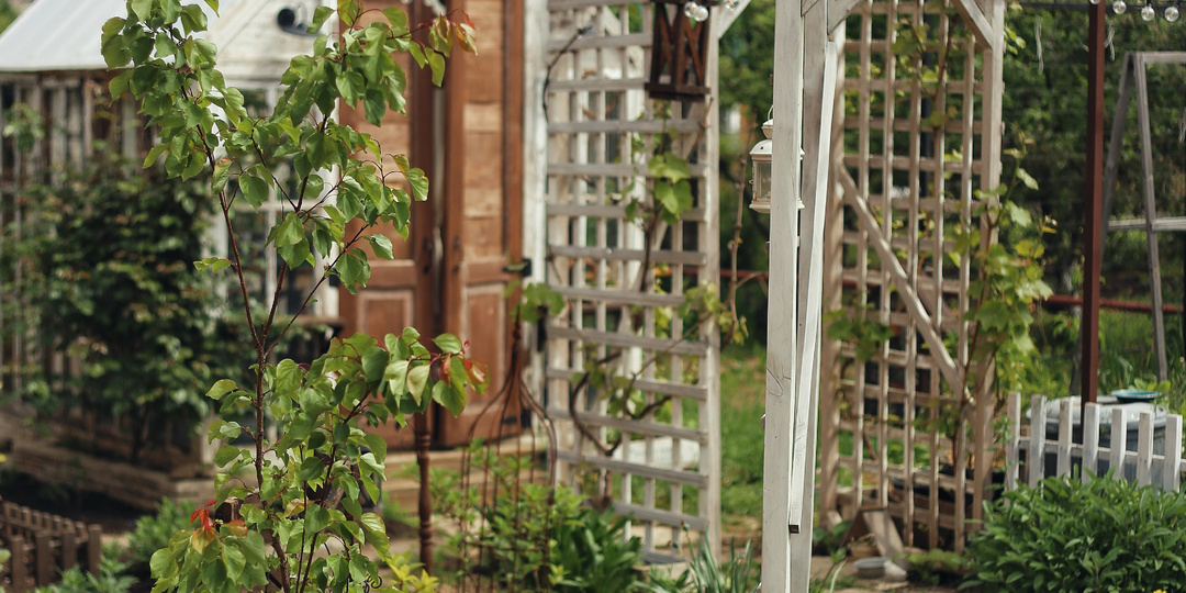 Садовые влоги вернулись!!