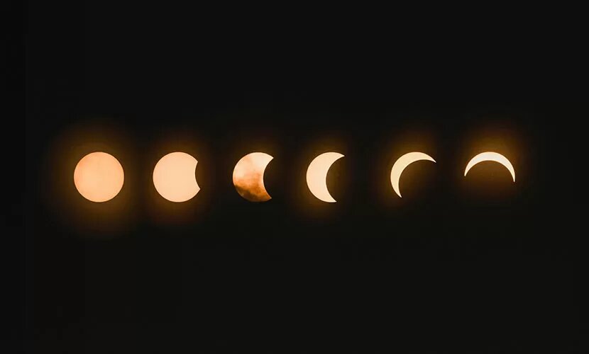 Источник: Mark Tegethoff / Unsplash
