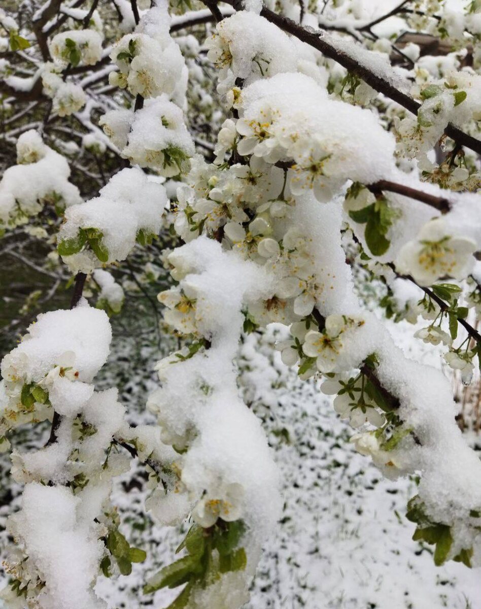 "Зима" в мае