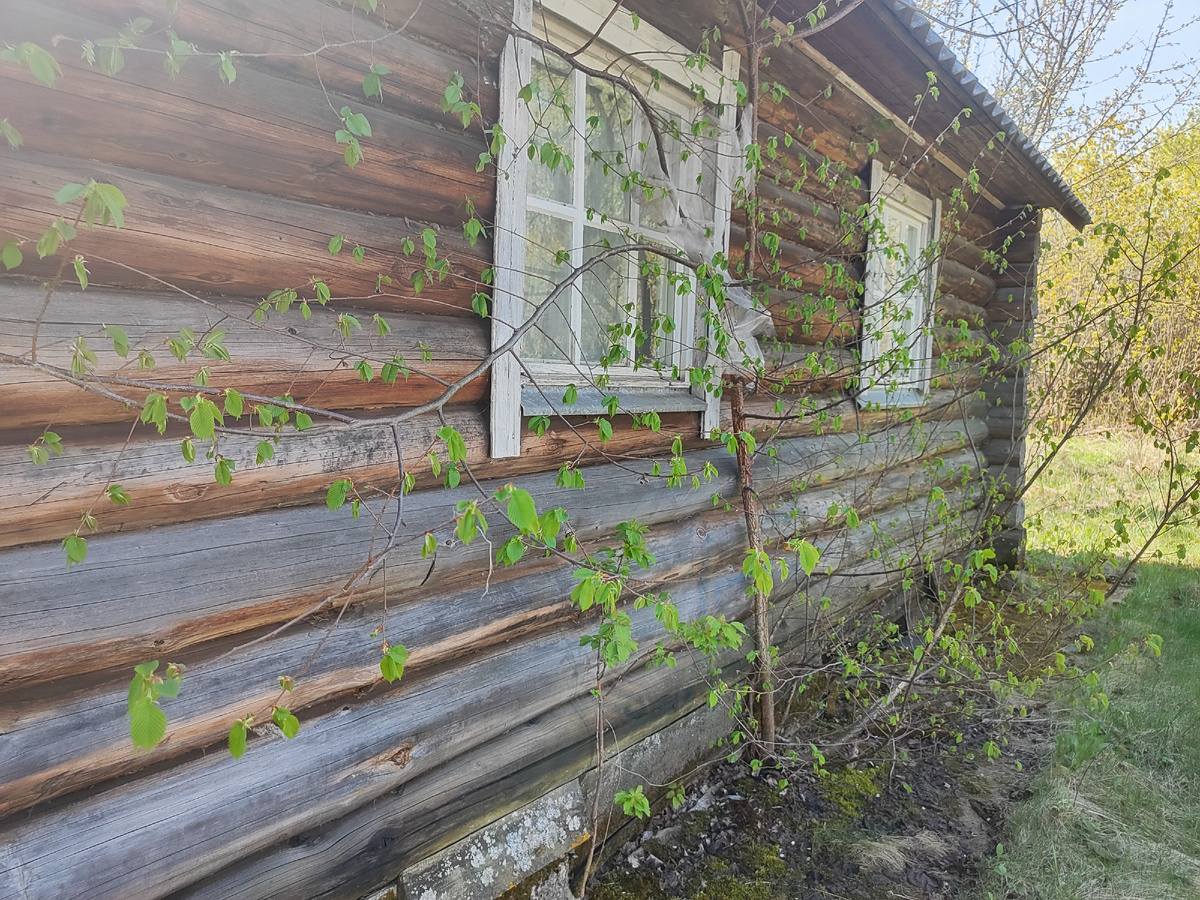 дача во втрой приезд