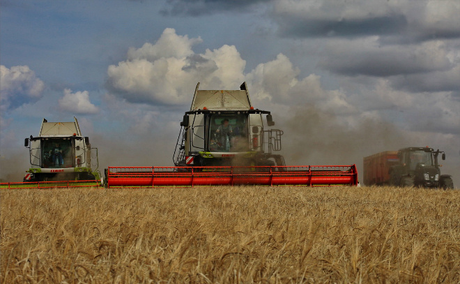    © Анастасия Илюшина / ЛенТВ24