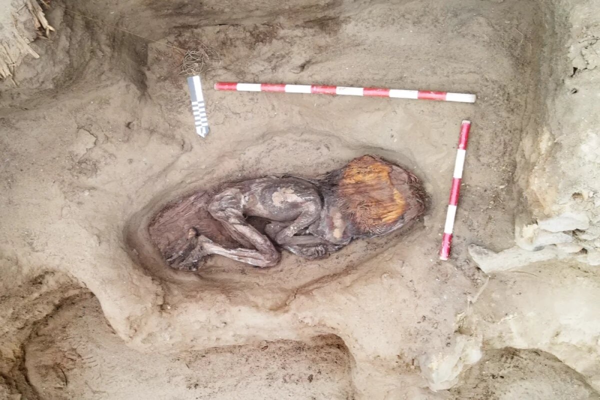    Археологи нашли мумию знатной женщины из древней цивилизации Караль.