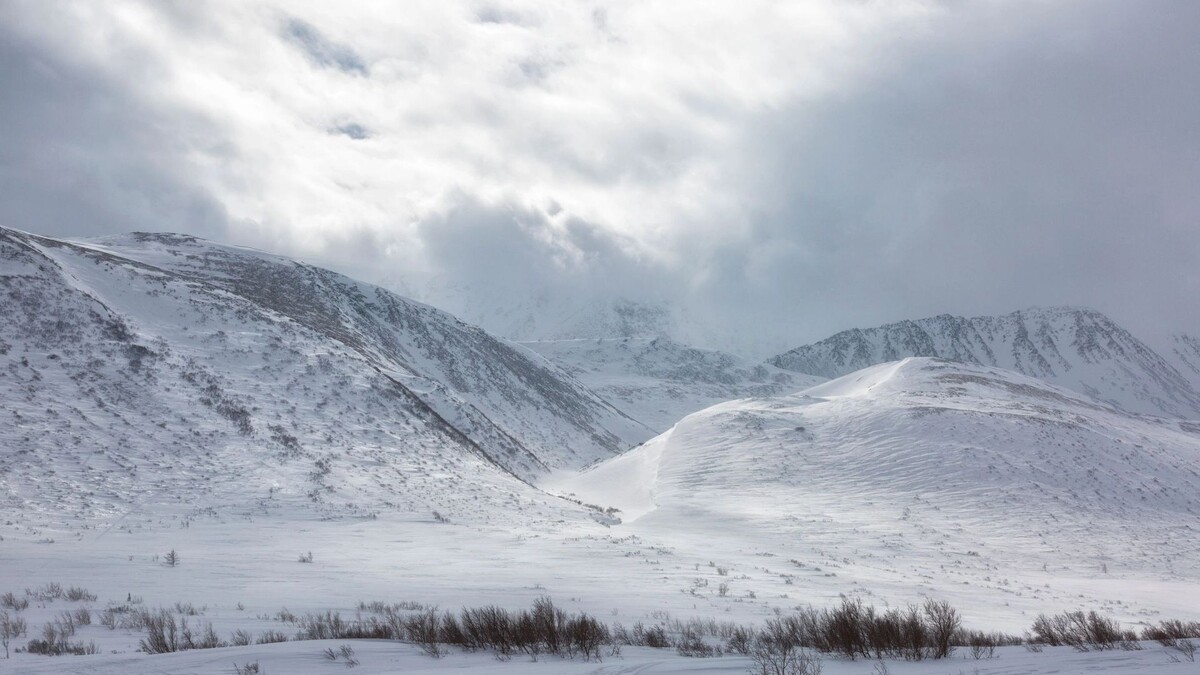    Фото: Shchipkova Elena/Shutterstock/Fotodom