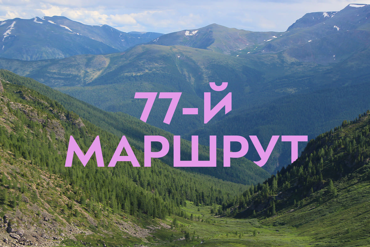 Фото: Дмитрий Иванов
