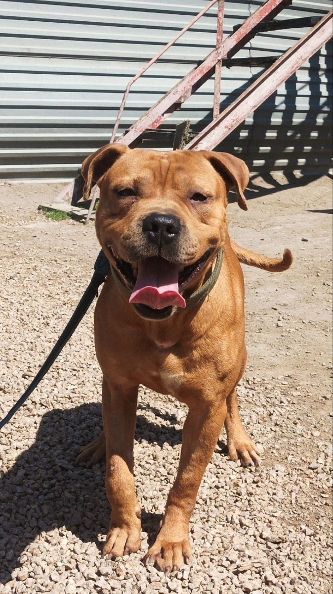 Счастливо малыш. Ты это заслужил! 