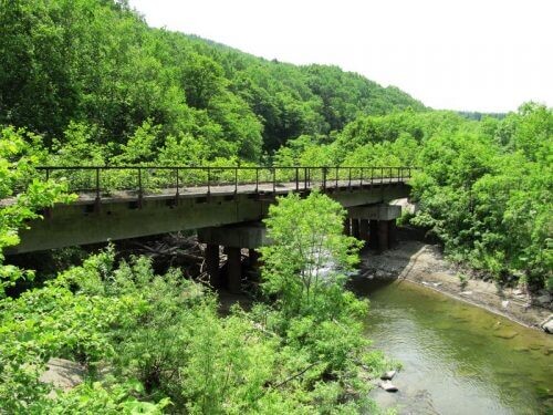    Фото: catcher.fish