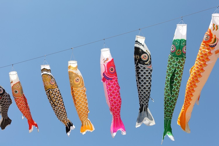 Разноцветные карпы — кои-нобори