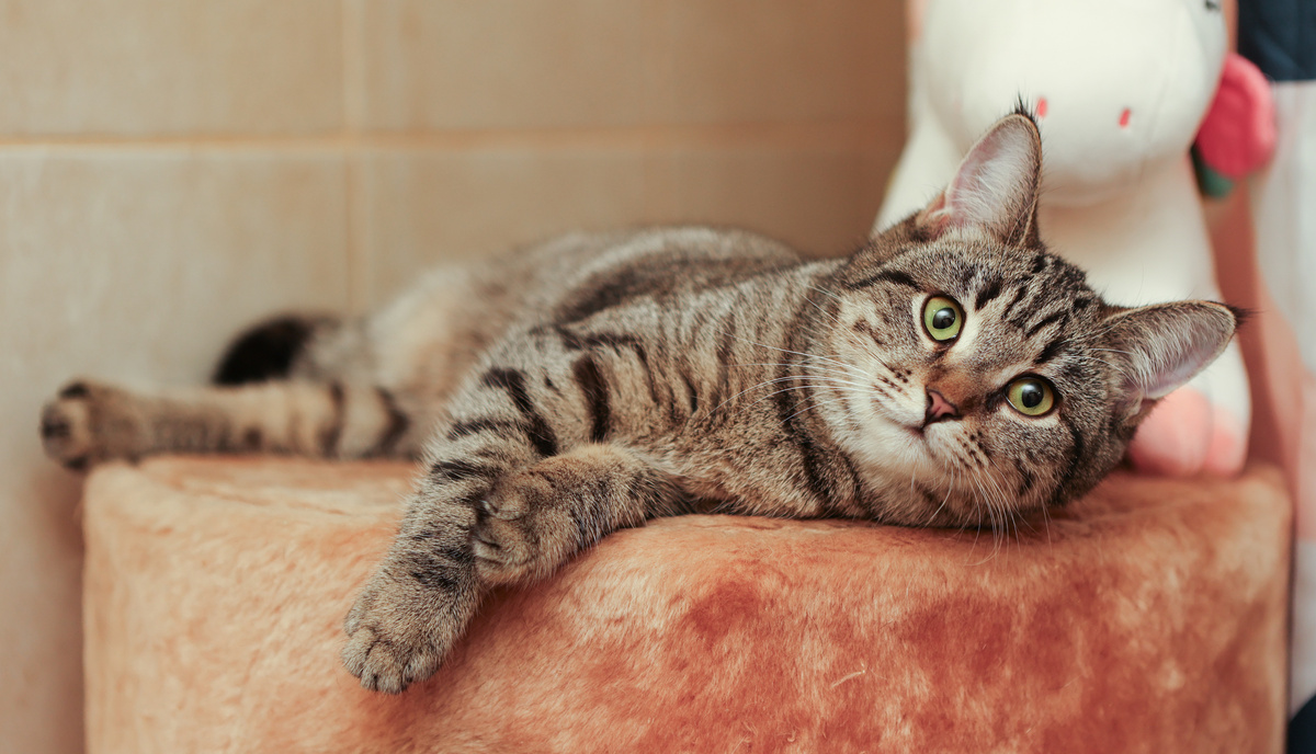 Вам же пишут! Пишите книги