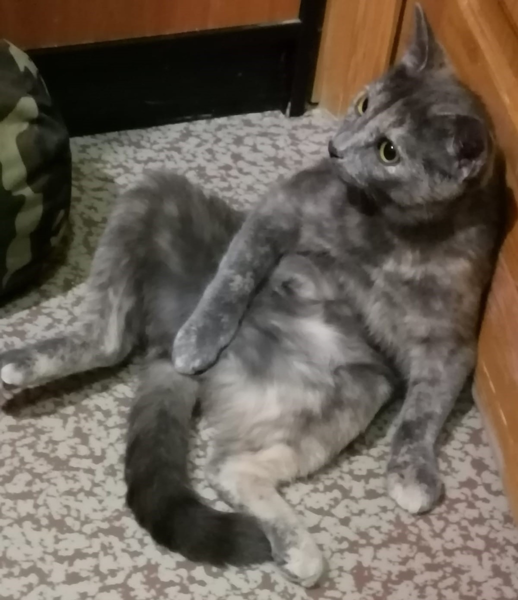 Фото автора 