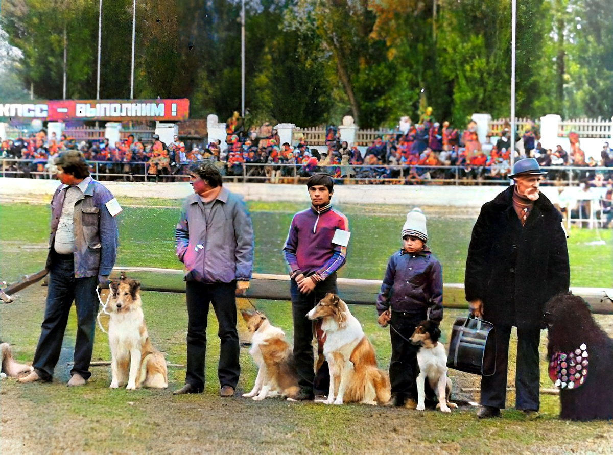 Вспомним породы собак, которых модно было держать в СССР, а теперь они не в тренде