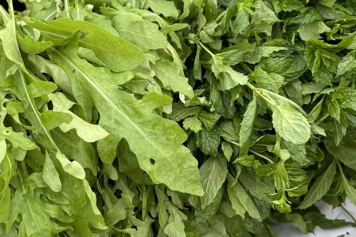 Фото: UfaTime.ru