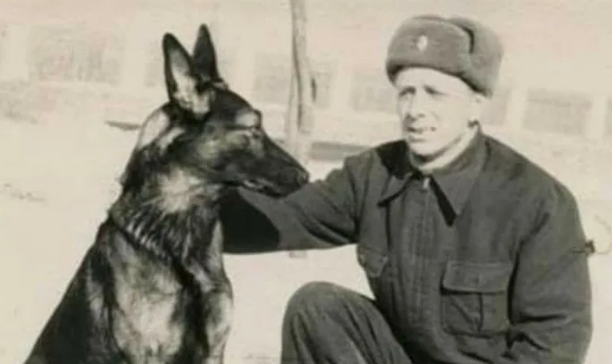 Орденоносный пес-Джульбарс