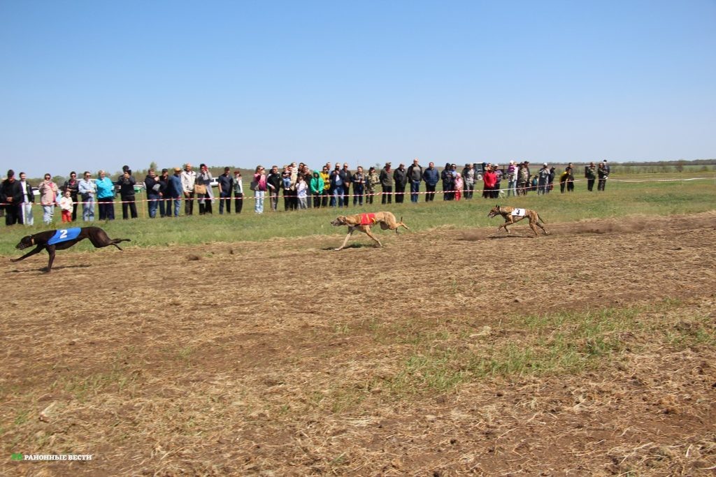    Фото автора Любовь Воротынцева
