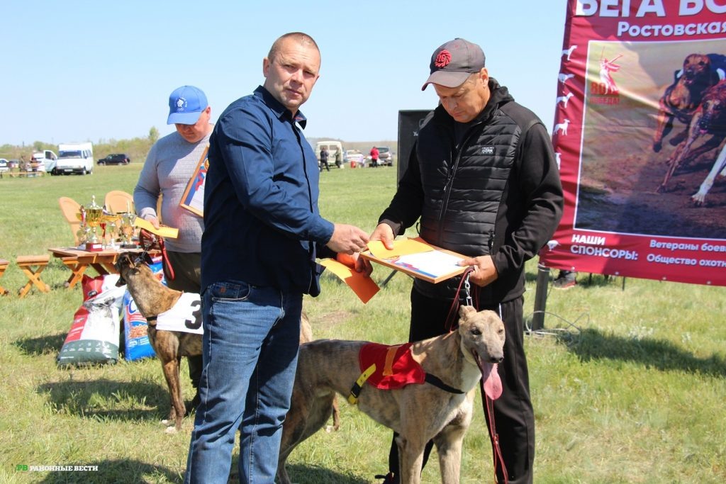 Фото автора Любовь Воротынцева  📷
